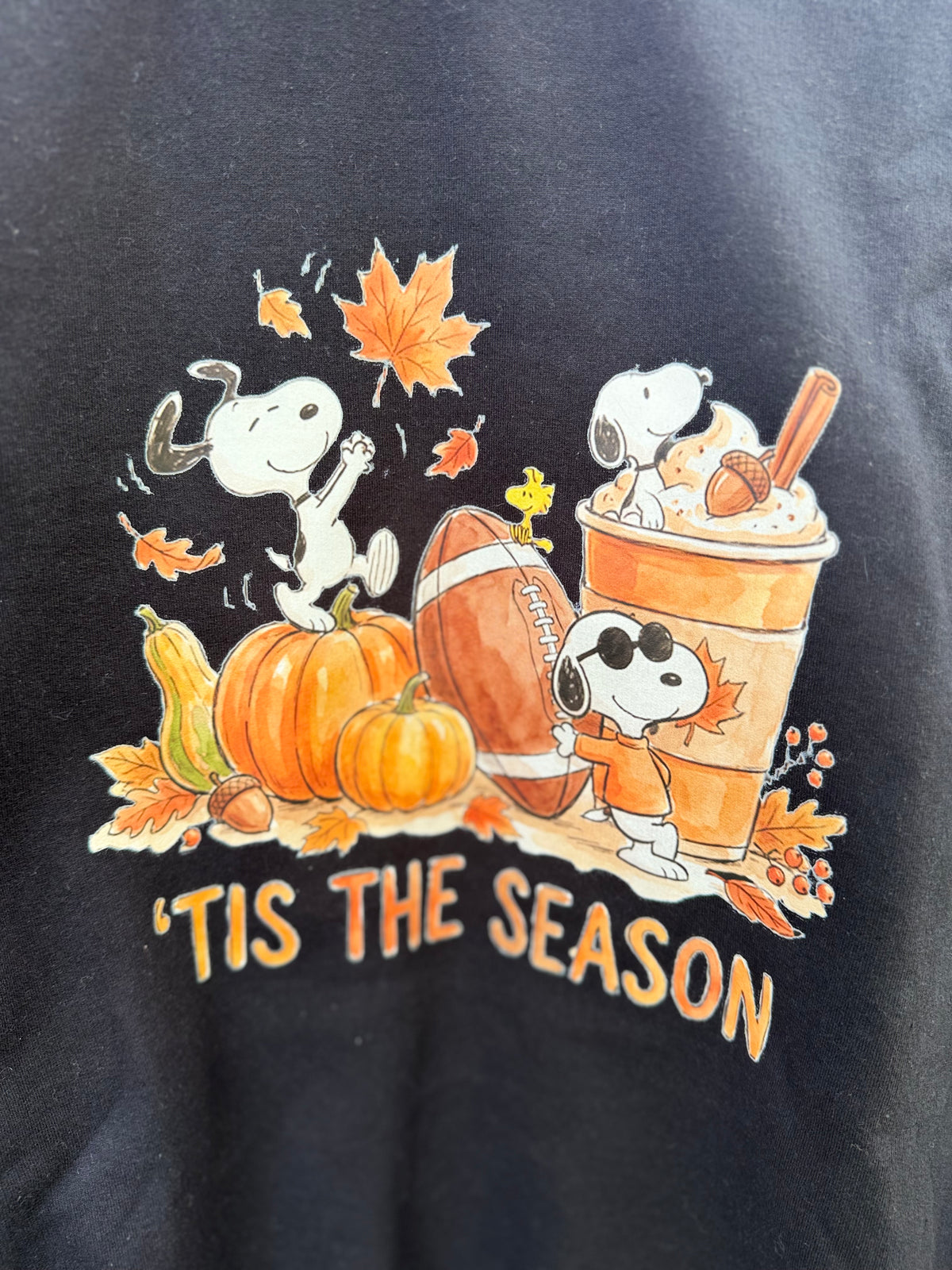 TIS THE SEASON SWEATSHIRT